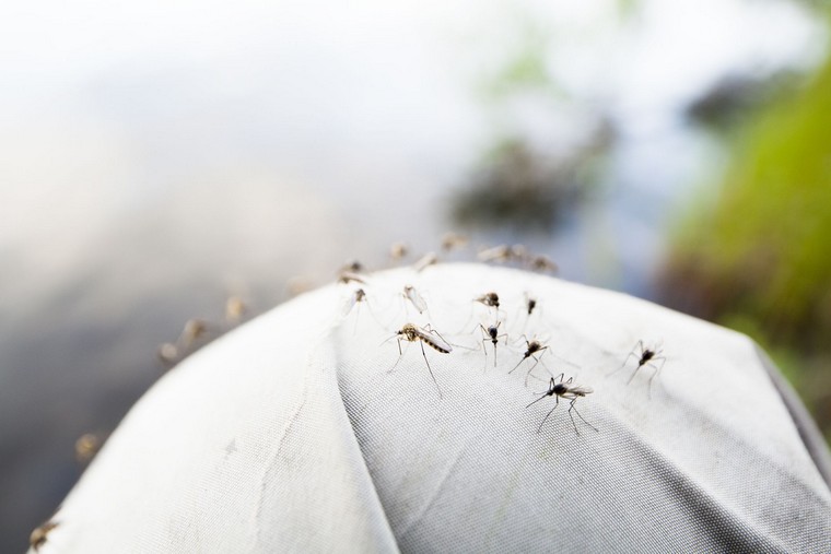 comment éviter les piqures de moustiques tissus