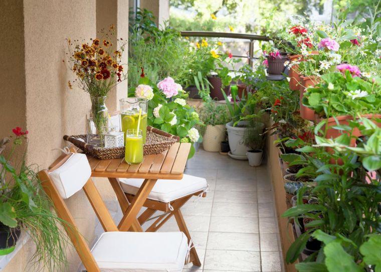 déco de petit balcon avec des plantes vertes 
