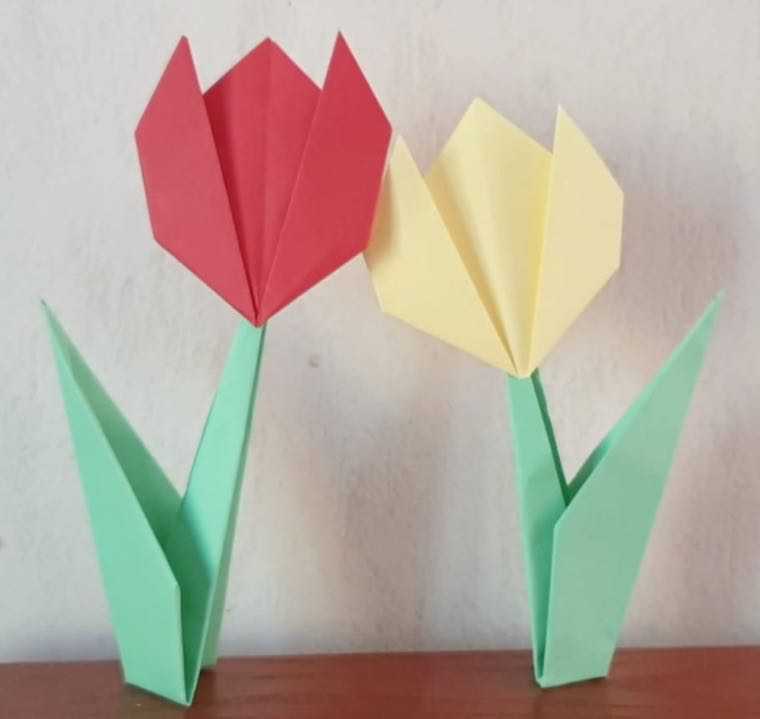 tulipes en papier