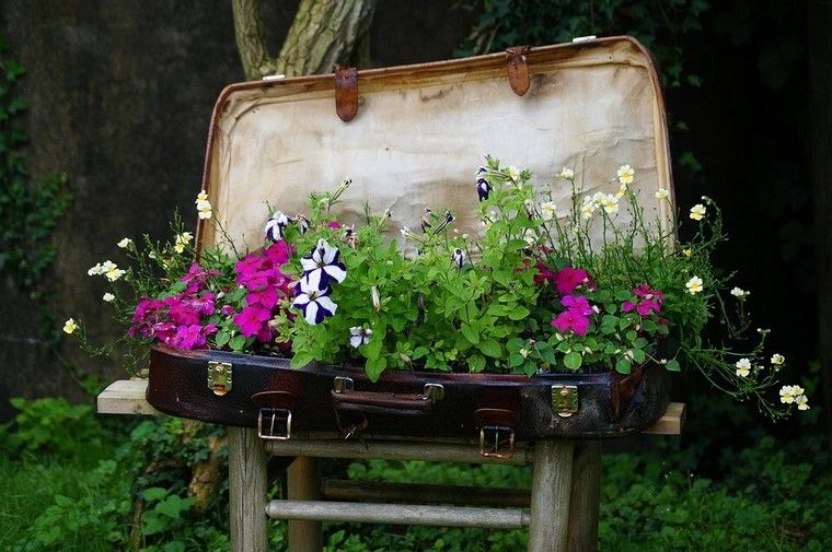 parterre fleurs plantées valise