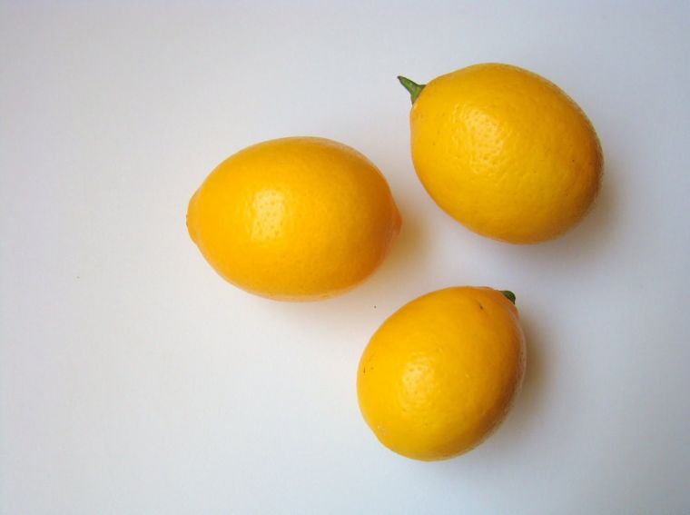 rempotage du citronnier en pot conseils