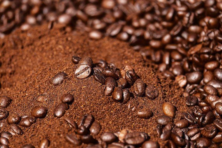 repulsif naturel fourmis cafe