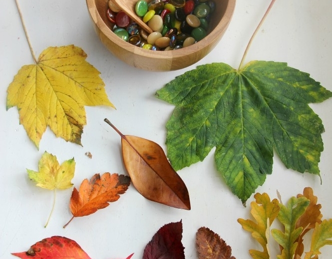 activité manuelle enfant feuilles d'automne