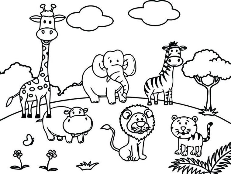 animaux coloriage