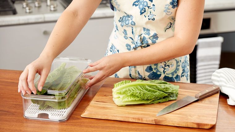 comment conserver la salade feuilles fraiche conseils