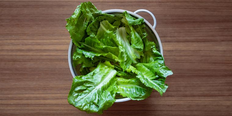 comment conserver la salade feuilles fraiche plus longtemps