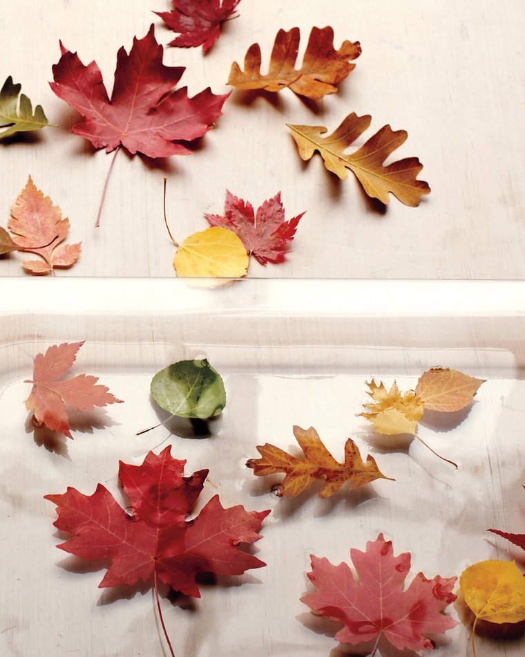 feuilles d'automne activité manuelle enfant