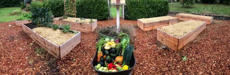 paillage de jardin potager organique options