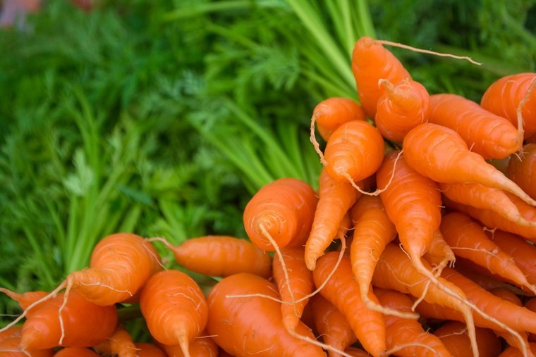 bonnes carottes crues nutritives