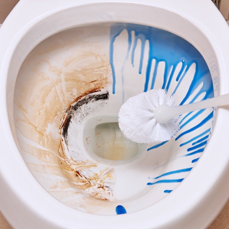comment blanchir le fond des toilettes