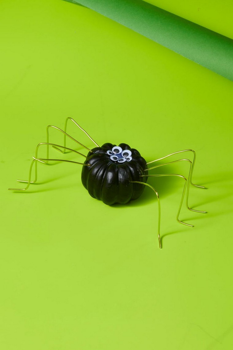 mini citrouille araignée noire