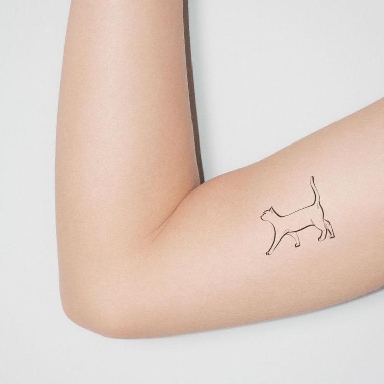 idée tatouage bras chat