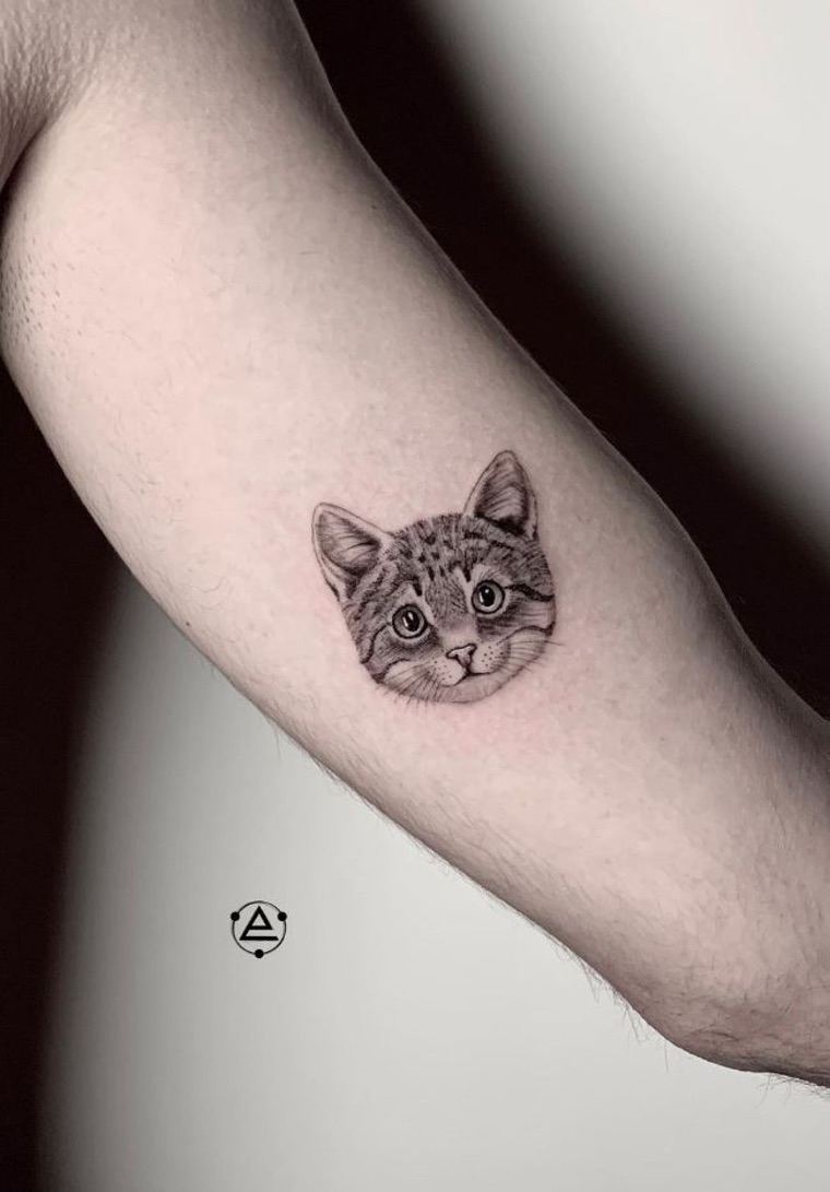 tête de chat tatouage bras
