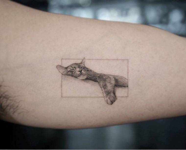 tatouage mignon de chat dormant