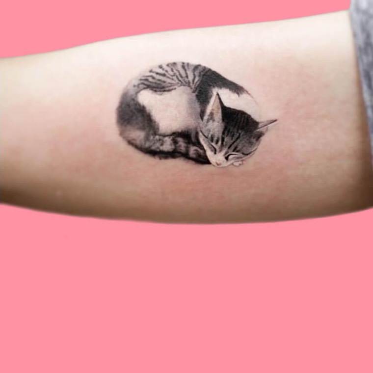 chat dormant tatouage
