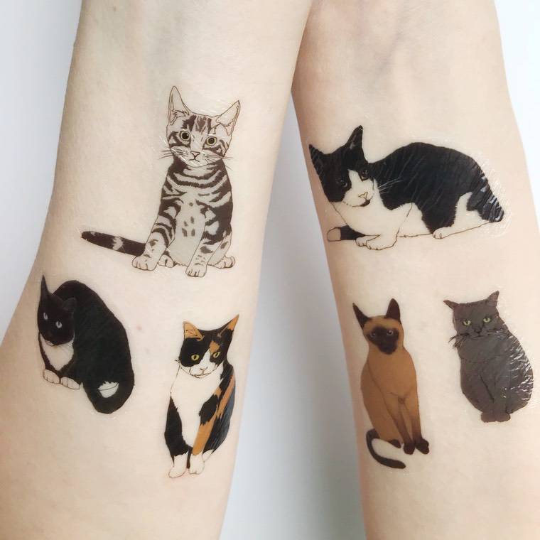 idées tatouage chat