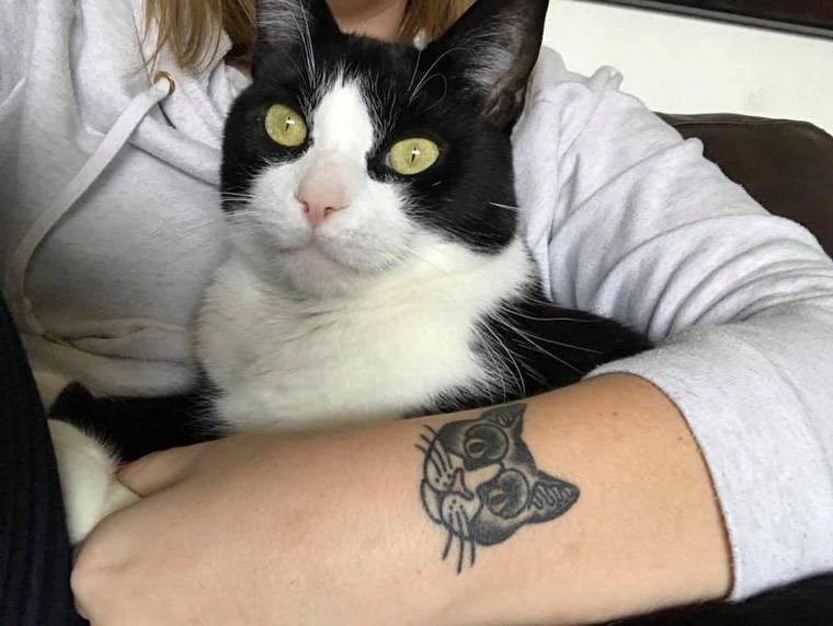 tatouage mignon de tête de chat