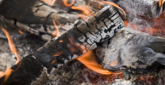 que faire des cendres de bois de la cheminée : utilisations