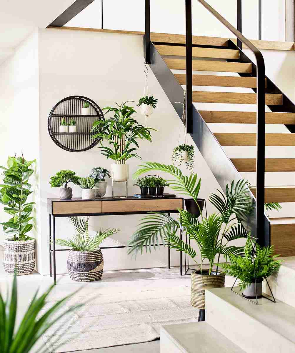 décoration végétale divine intérieur avec plantes vertes
