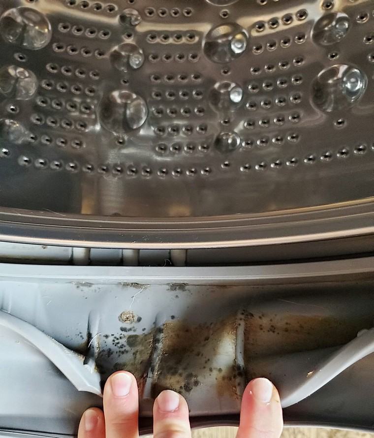 moisissure nettoyer machine laver