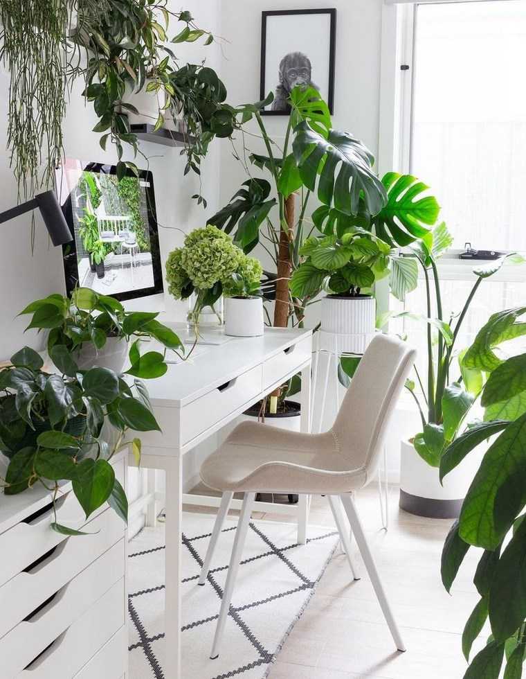 plante tropique design interieur