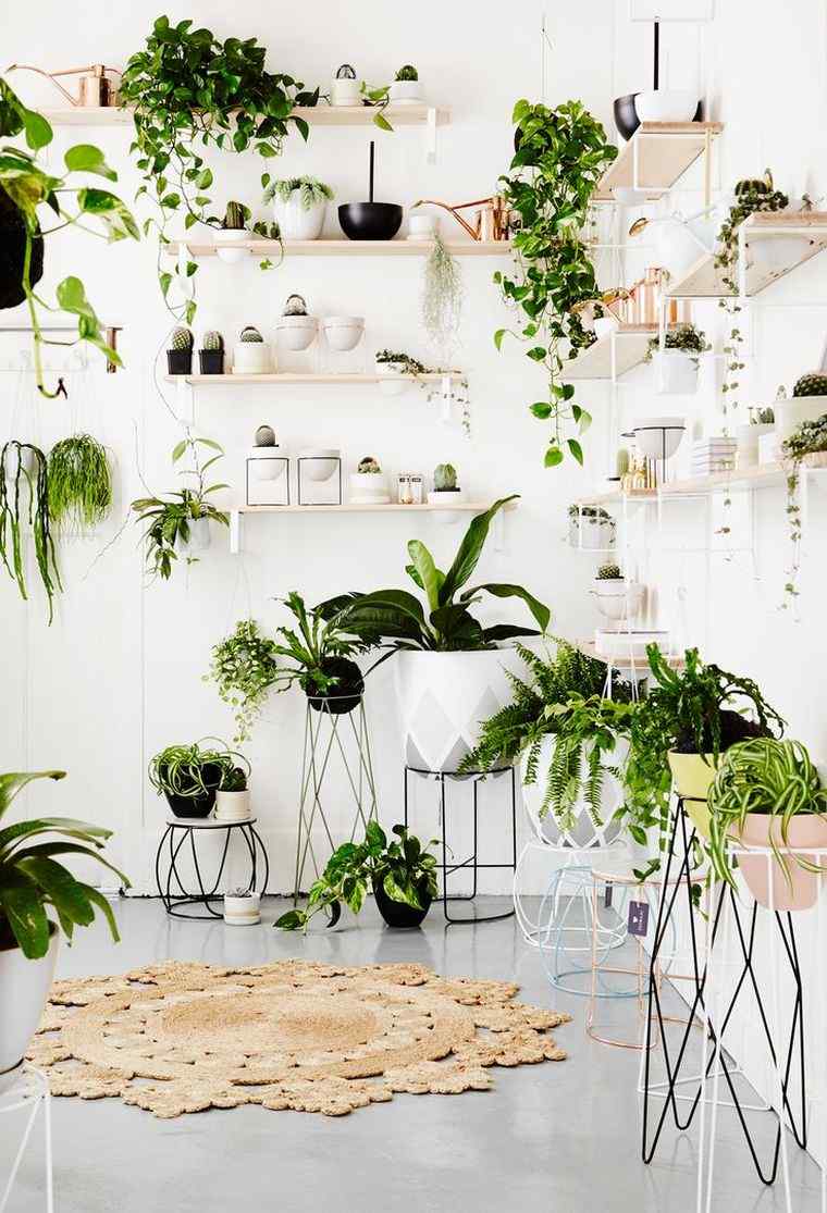 décoration avec plantes vertes 2022