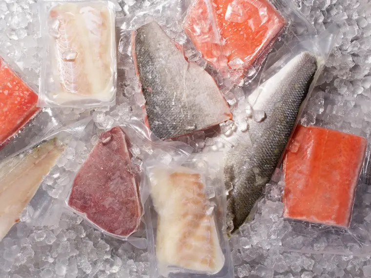 congelation-poissons-viande-aliments-congeler-aliments
