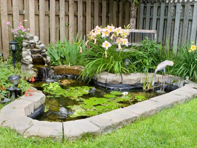 petit bassin d'eau jardin 