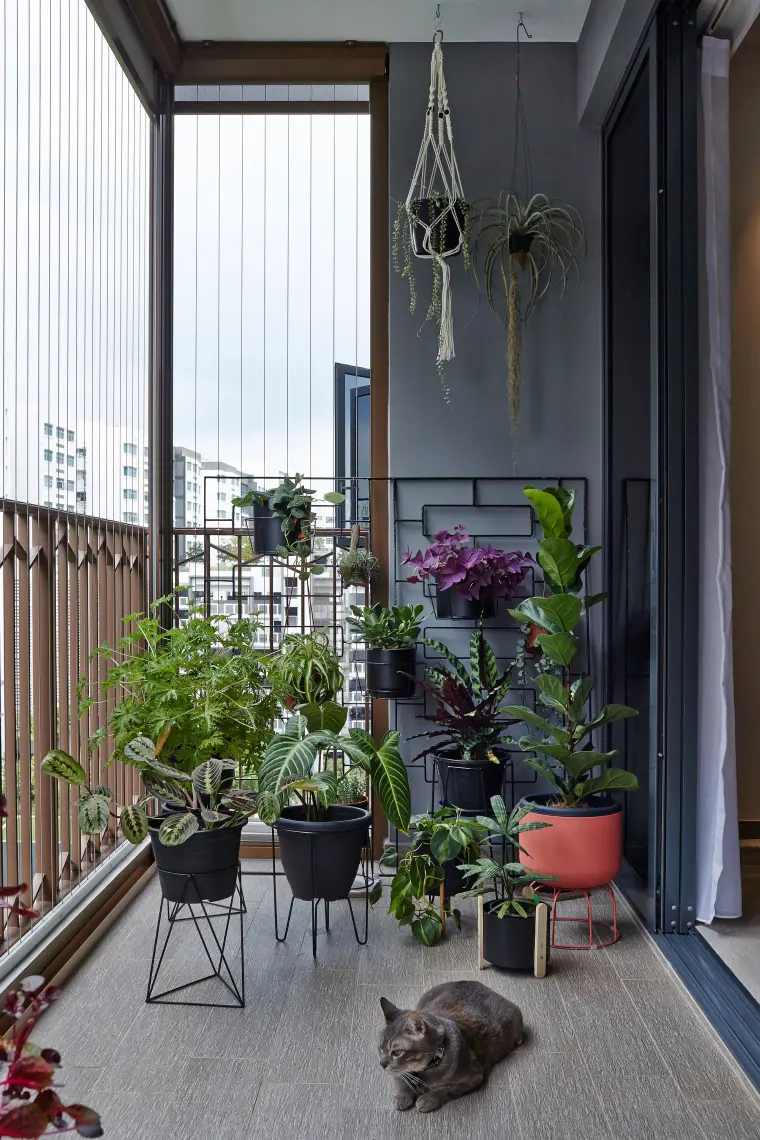 plantes pour balcon petit espace 