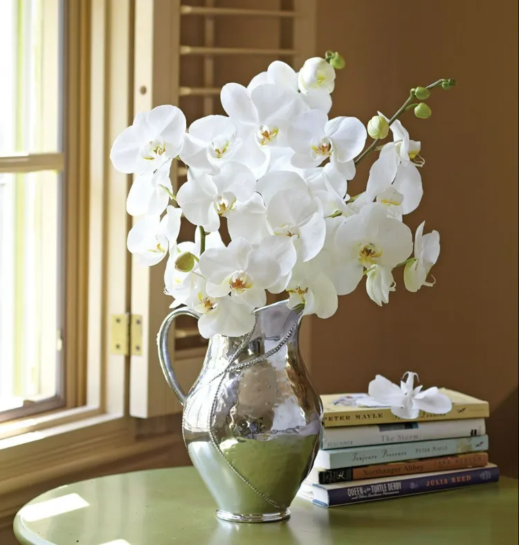 vase beau bouquet orchidées