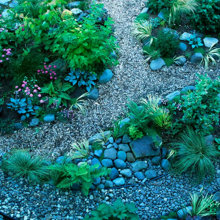 décoration de jardin en pierre végétation sauvage