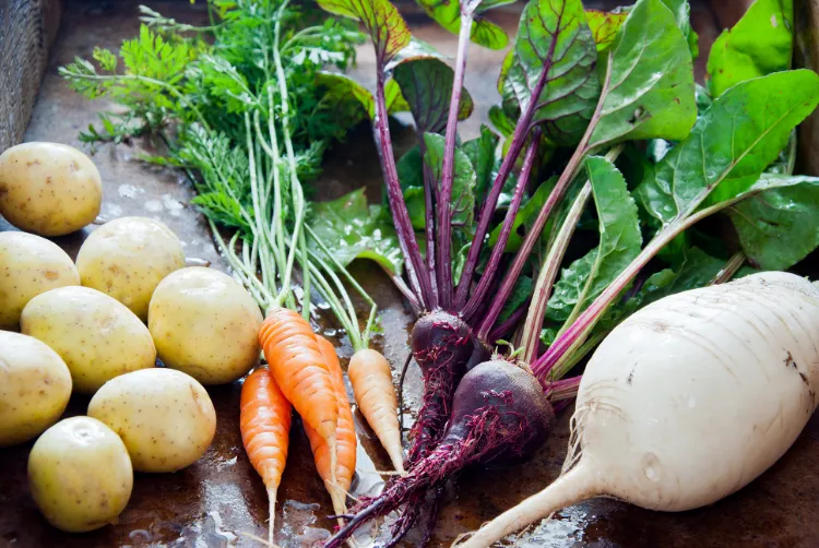 légumes racines bon santé