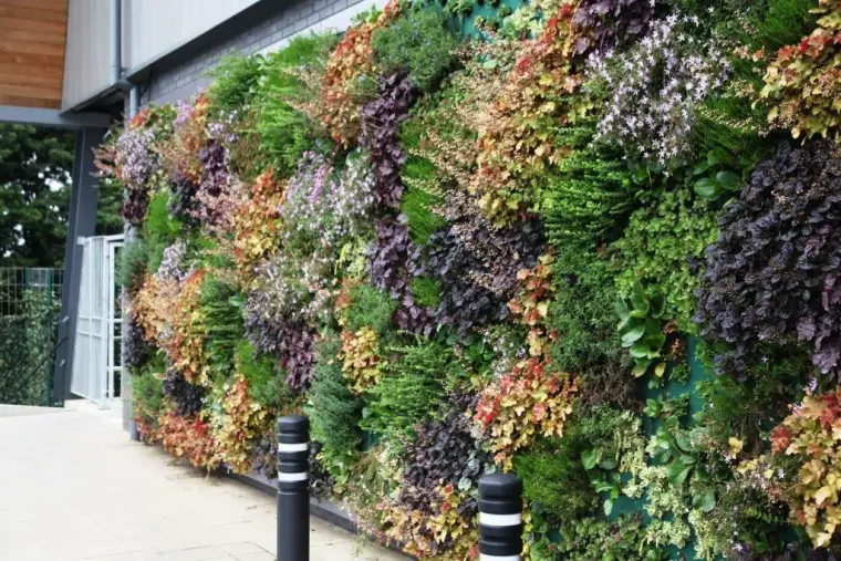 mur végétal fleurs deco comment faire