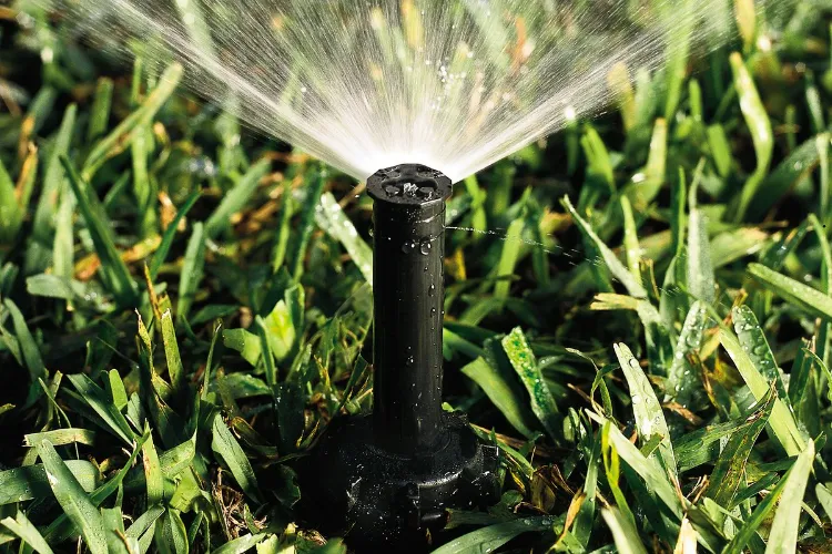 tout savoir sur façon réduire irrigation eau