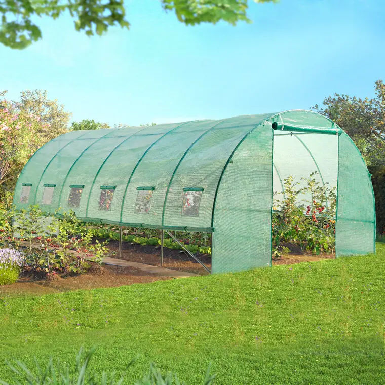 tunnel plantation fraises jardinage 