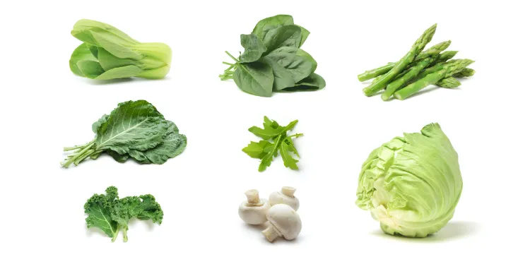 légumes-feuilles salades vertes