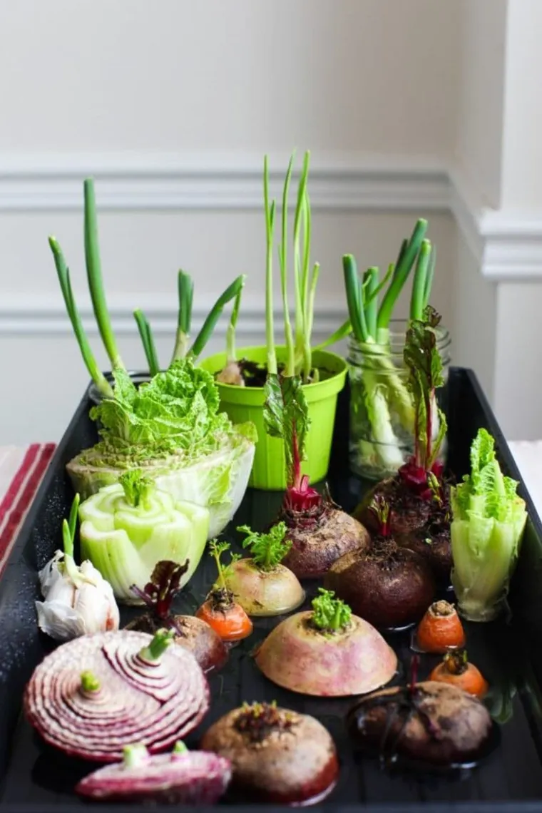 légumes qu'on peut faire repousser chez soi