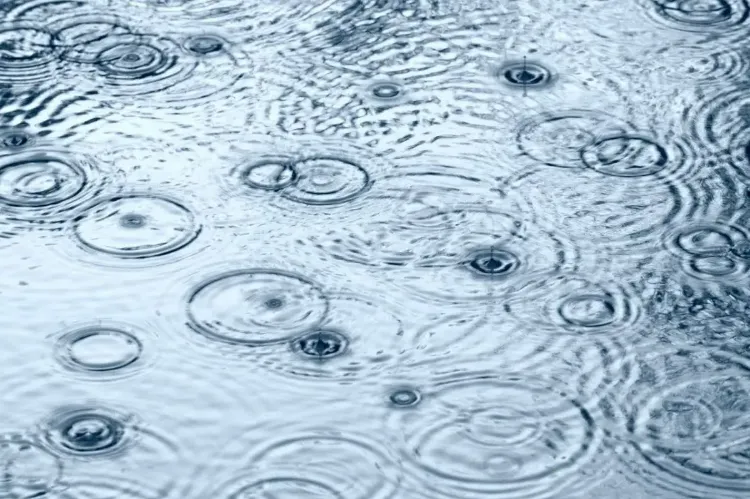 Cuve recuperation eau de pluie : la stratégie d’avoir de l’eau à la maison