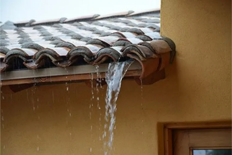 récupérateur d eau de pluie