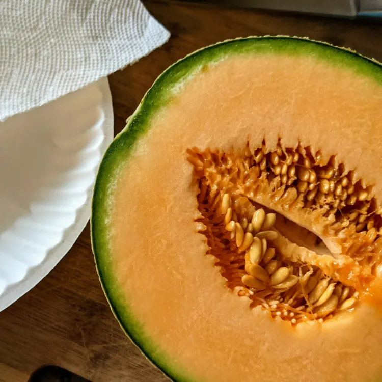 Pépins de melon : pourquoi faut-il les garder ? Que peut-on faire avec ?