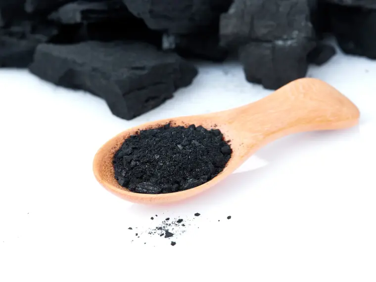 charbon végétal actif bienfaits 