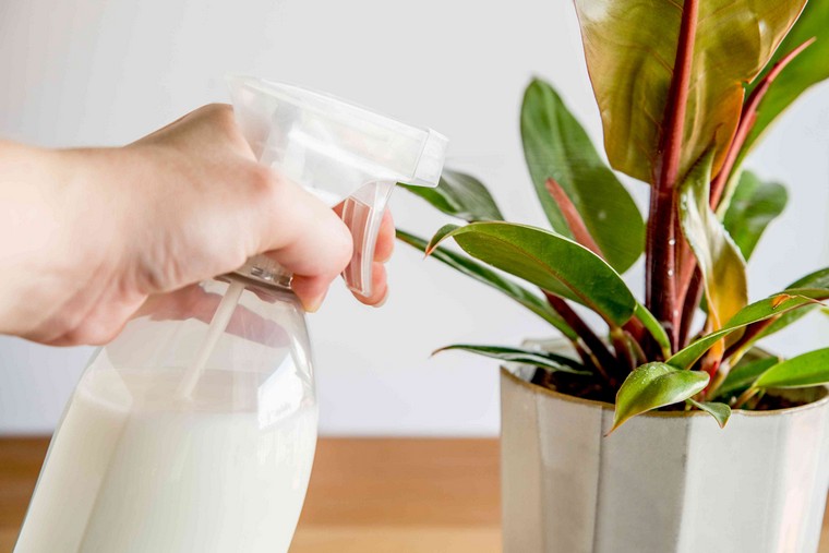 lait jardin bio utilisation produit sur plantes