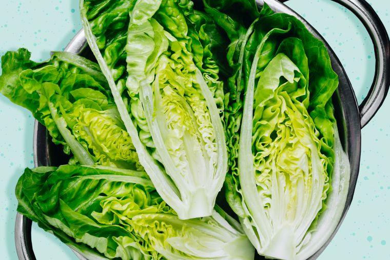 Salades vertes : Comment les semer, cultiver et récolter ?
