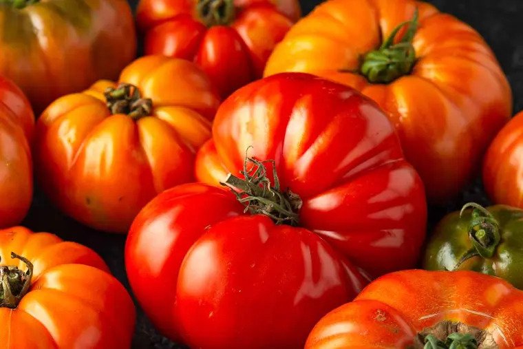 tomates salade ete jardin