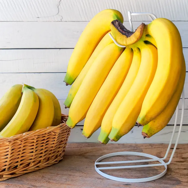 comment conserver les bananes vertes 