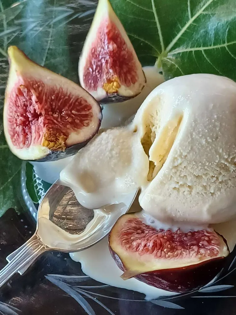 fig leaf ice cream