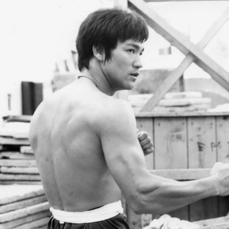 Bruce Lee arts martiaux
