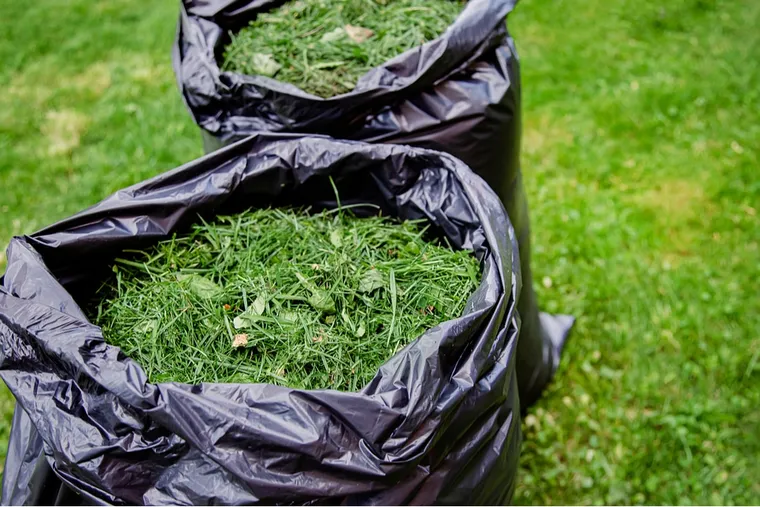 Recycler les déchets de jardin et les restes de nourriture grâce au compostage