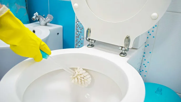 comment détrartrer les toilettes sans produits chimiques
