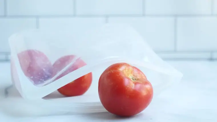 comment prolonger la récolte de tomates